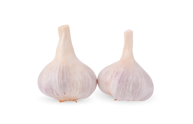 Fresh garlic on white background