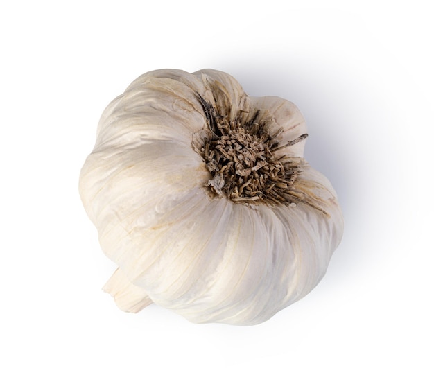 Photo fresh garlic on white background