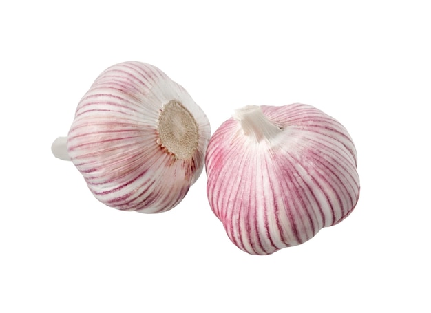 Fresh garlic on white