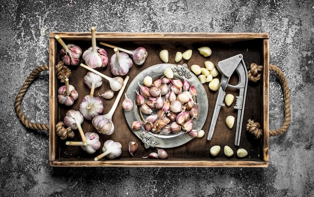 Fresh garlic with a press tool on a wooden tray.