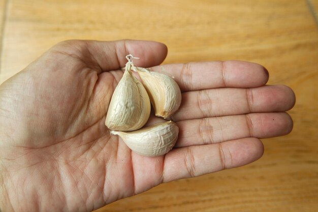 fresh garlic on a wooden board and on hand