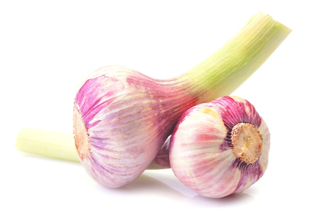 Fresh garlic