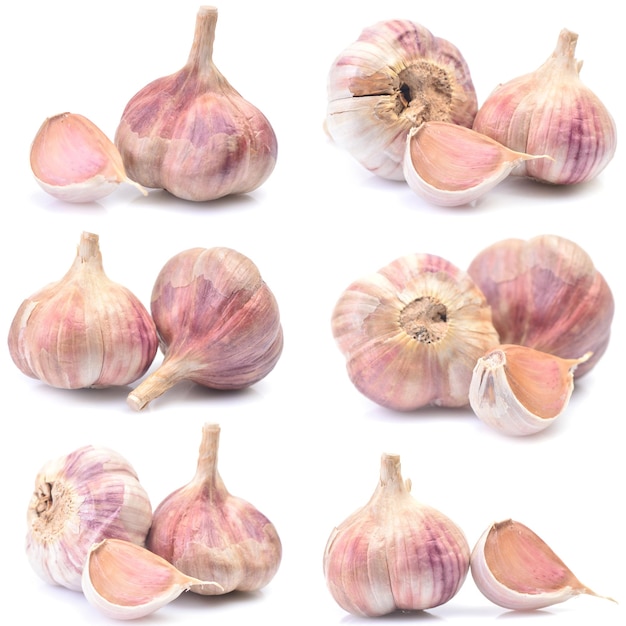 Fresh garlic