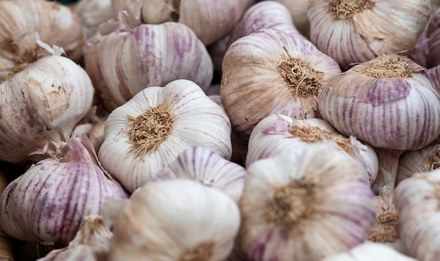 fresh garlic