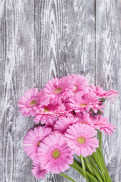 Fresh gerbera flowers on wooden