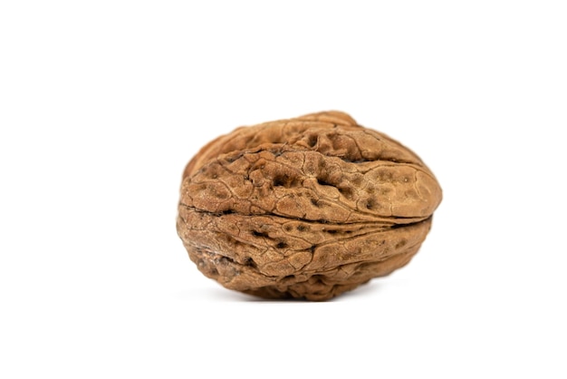 the fresh giant large walnut