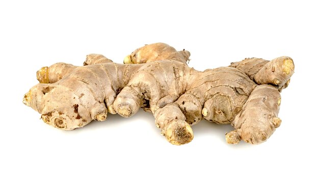 fresh ginger root isolated on white background