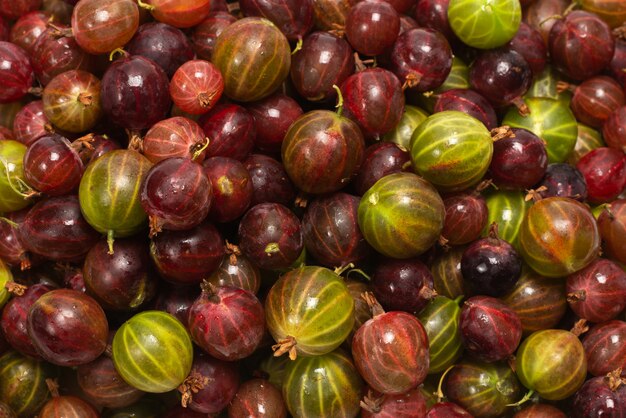 Fresh gooseberry background