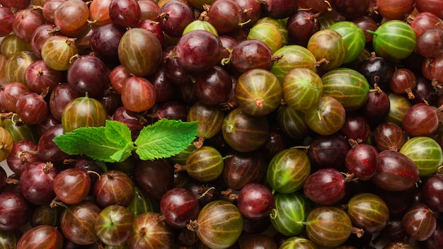 Fresh gooseberry background