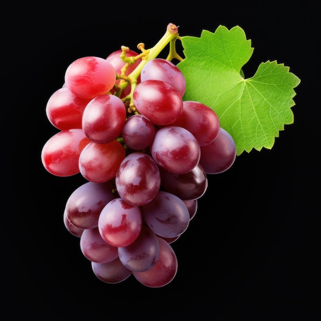 гроздь свежего винограда с листьями
