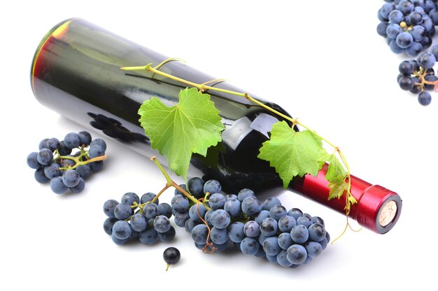 Fresh grapes and wine bottle on a white background