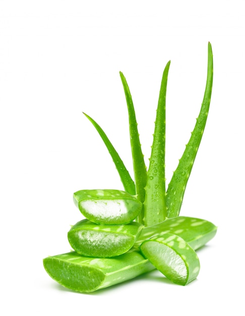 Foto foglie verdi fresche di vera dell'aloe su fondo bianco