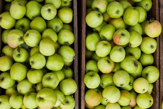 Fresh green apples on the wooden boxes harvest