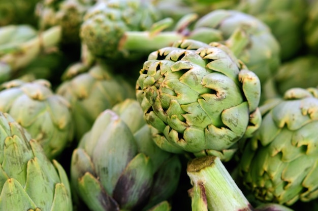 Fresh green artichoke close up Organic healthy vegetables