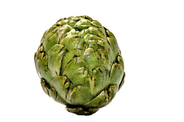 Fresh green artichoke on white background.