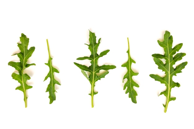 Fresh green arugula on a white background Top view