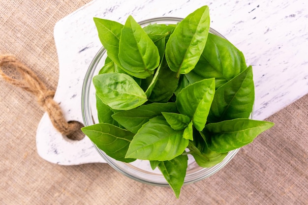 Fresh green basil leaves in a plate. Flat lay.