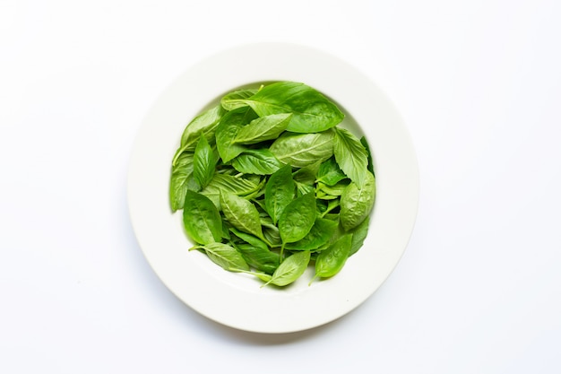 Fresh green basil leaves in white dish    