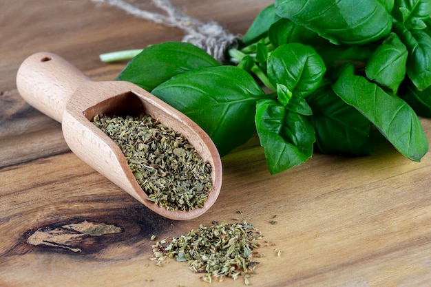 Fresh green basil and seasoning basil on wooden spoon on the wooden background