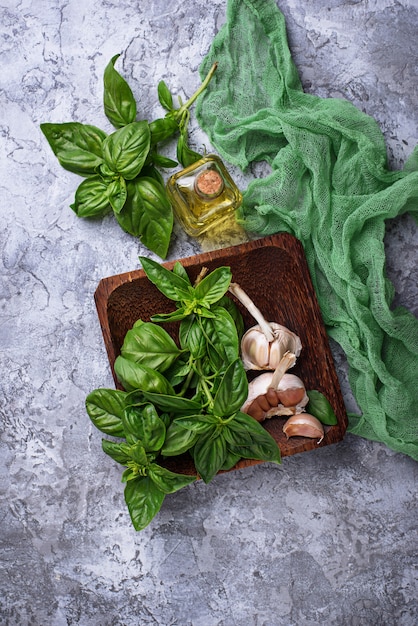 Fresh green basil with garlic and olive oil. Selective focus