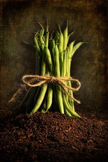 Fresh green beans tied against grunge background