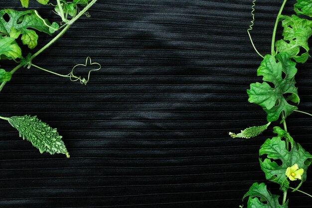 Photo fresh green bitter gourd with green leaves