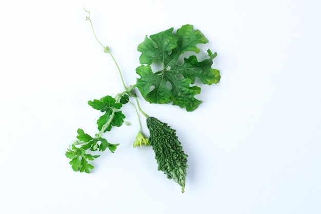 Fresh green bitter gourd with green leaves