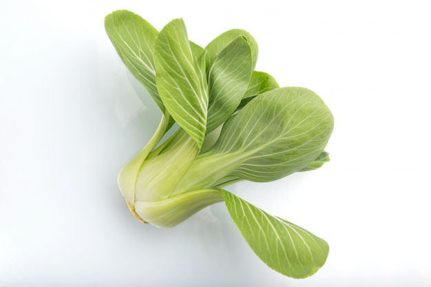 Fresh green bok choy or pac choi chinese cabbage isolated white background.