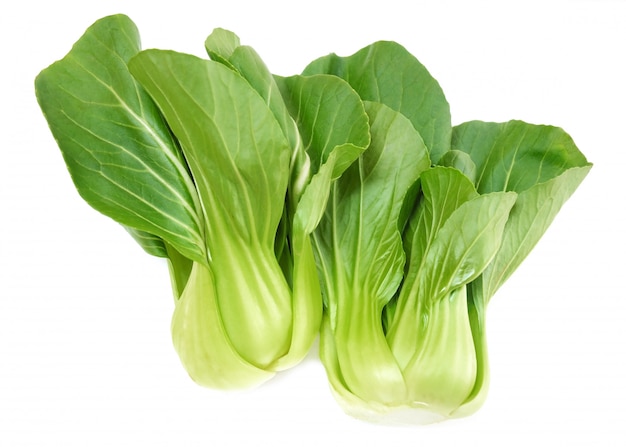 Fresh Green Bok Choy on White 