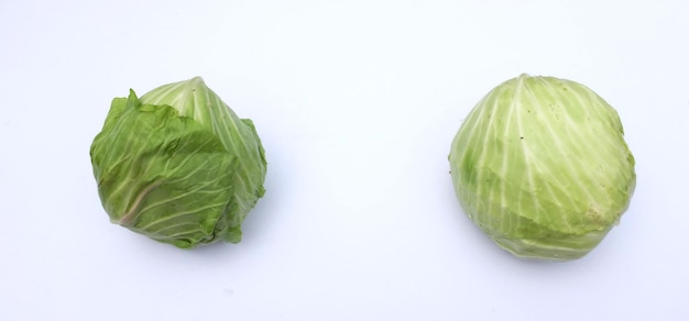 Photo fresh green cabbage   on a white background