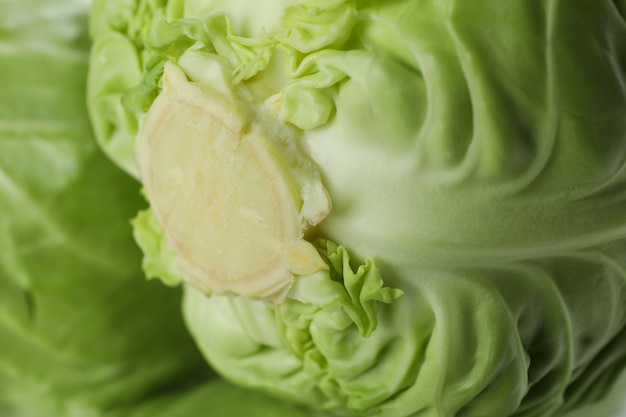 Fresh green cabbage on whole, close up