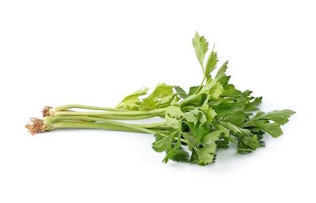 Fresh green celery isolated on white