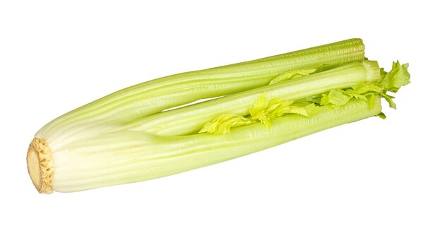 Fresh green celery vegetable