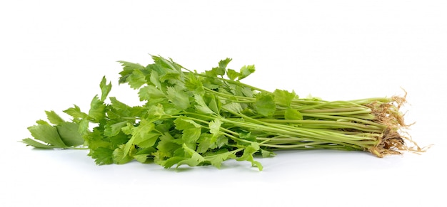 Fresh green celery on white table