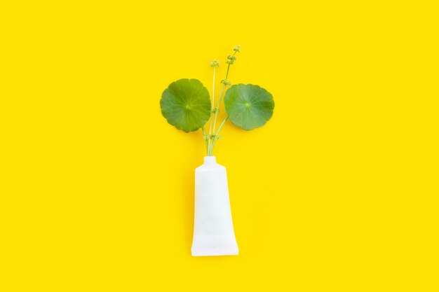 Fresh green centella asiatica leaves in cosmetic bottle container on yellow background