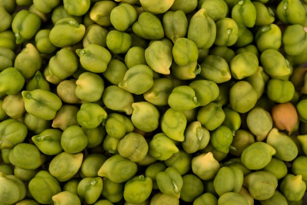 Fresh green Chickpea on a bright background