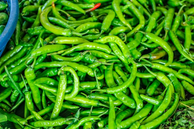 Fresh green chili