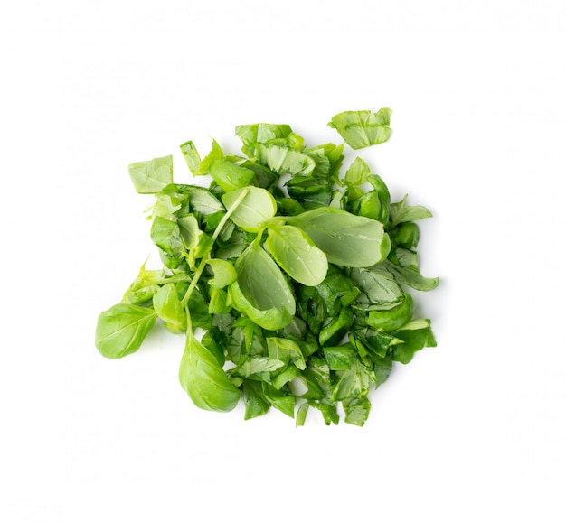 Fresh green chopped basil isolated