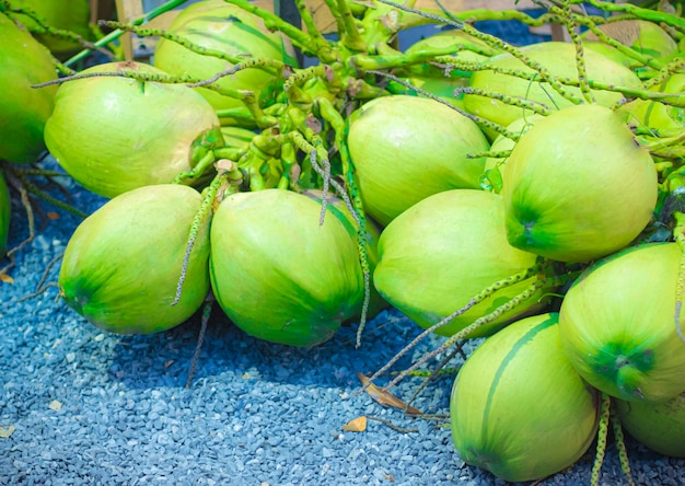 Fresh green coconut group for raw food and healthy drink