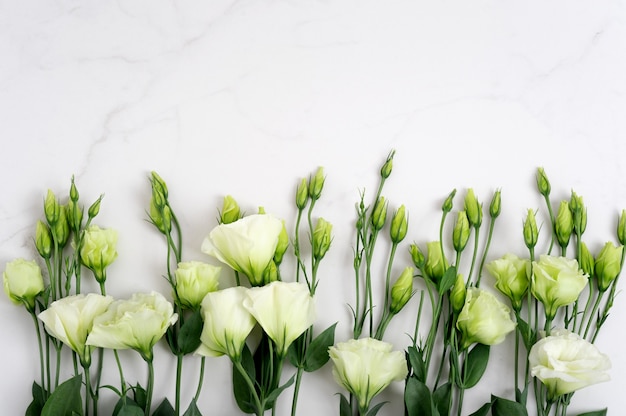 Fresh green colors on a natural stone table, white marble background with copy space, flat lay, top view.