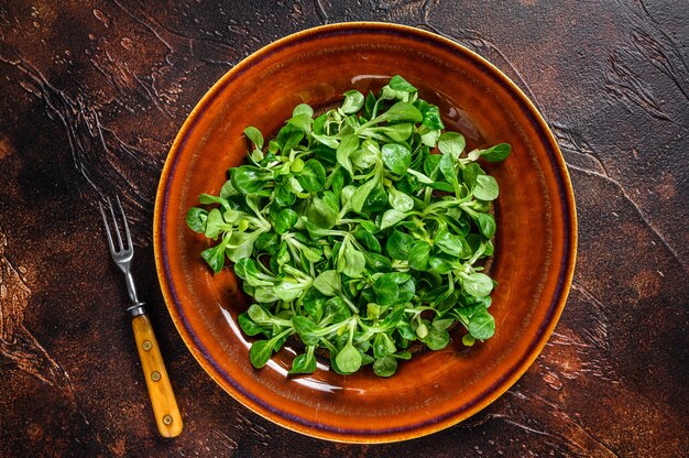 소박한 접시에 신선한 녹색 옥수수 샐러드 잎