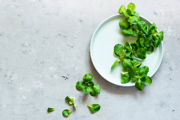 Салат из свежей зеленой кукурузы на тарелке