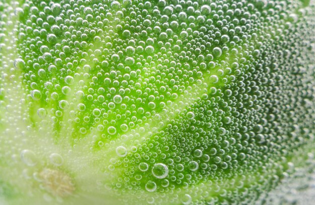 Fresh green cucumber