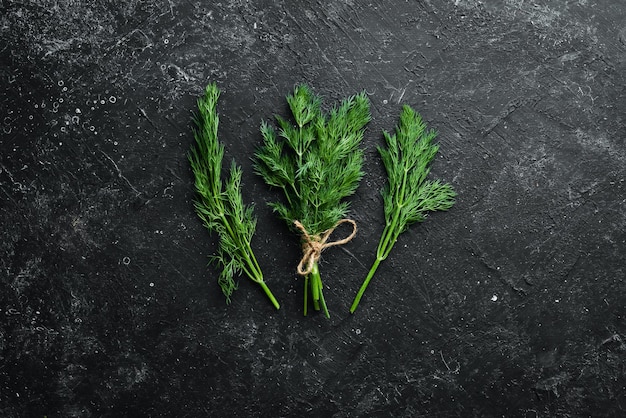 Fresh green dill on a black stone background Top view Free space for your text