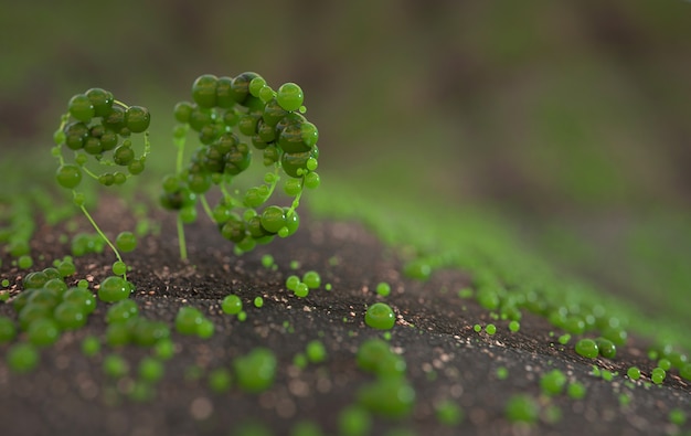 メドウクローズアップマクロレンダリングの新鮮な緑の幻想的な野生植物