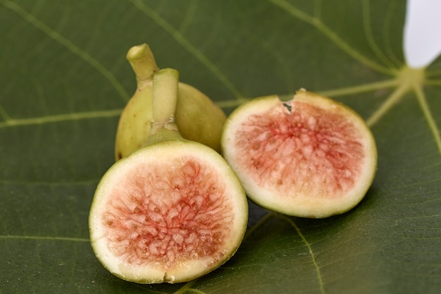 Fresh green figs on white background