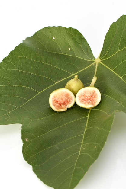 Fresh green figs on white background