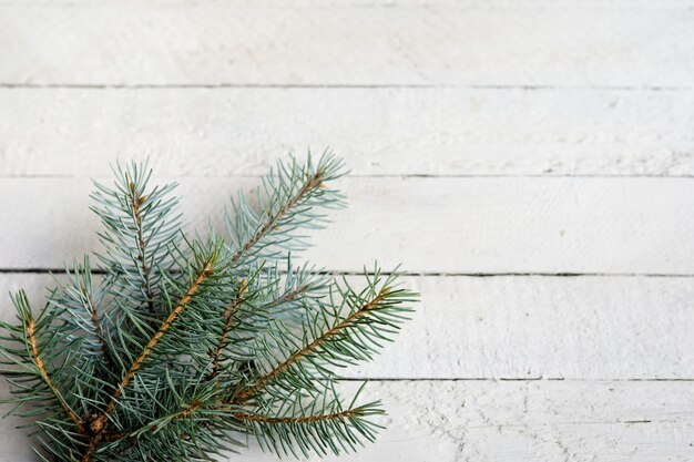 Fresh green fir branches on white wood background