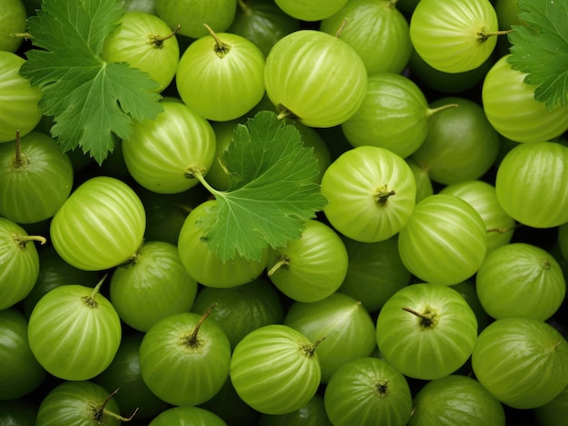 Fresh green gooseberries background