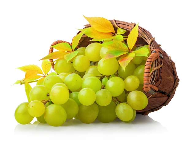 Fresh green grape in wicker vbasket isolated on a white background